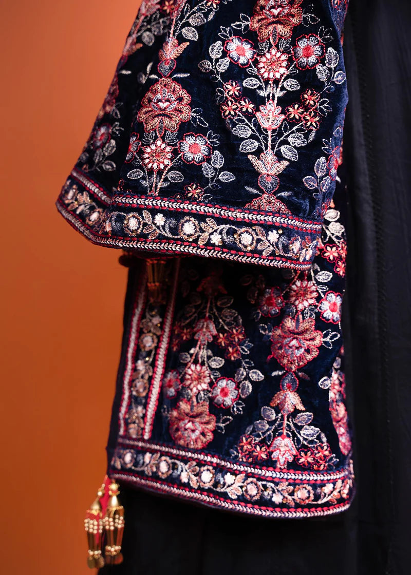 Punkh - Embroidered velvet shawl