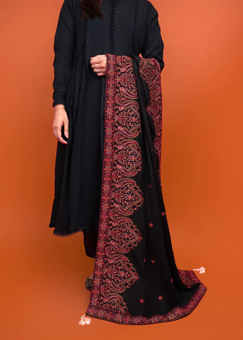 Punkh embroidered karandi shawl