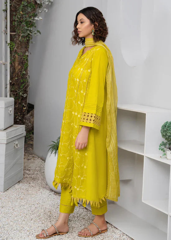 Marigold-3Pc Embroidered